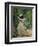 Madame Manet Im Garten Von Bellevue-Edouard Manet-Framed Premium Giclee Print