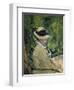 Madame Manet Im Garten Von Bellevue-Edouard Manet-Framed Premium Giclee Print