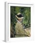 Madame Manet Im Garten Von Bellevue-Edouard Manet-Framed Giclee Print