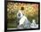 Madame Monet and Child in a Garden-Claude Monet-Framed Giclee Print