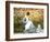 Madame Monet and Child in a Garden-Claude Monet-Framed Giclee Print