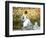 Madame Monet and Child in a Garden-Claude Monet-Framed Giclee Print