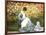 Madame Monet and Child in a Garden-Claude Monet-Framed Giclee Print