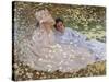 Madame Monet in the Garden-Claude Monet-Stretched Canvas