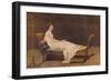 'Madame Recamier', 1800, (c1915)-Jacques-Louis David-Framed Giclee Print