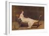 'Madame Recamier', 1800, (c1915)-Jacques-Louis David-Framed Giclee Print