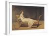 Madame Recamier, 1800-Jacques-Louis David-Framed Giclee Print