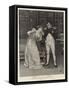 Madame Sans-Gene at the Lyceum Theatre-Henry Marriott Paget-Framed Stretched Canvas