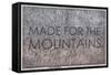 Made for the Mountains - 1894, Colorado State Map in Relief, Colorado, United States Map-null-Framed Stretched Canvas