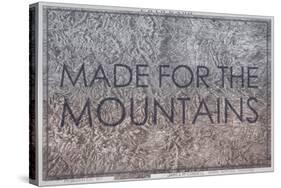 Made for the Mountains - 1894, Colorado State Map in Relief, Colorado, United States Map-null-Stretched Canvas