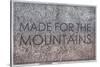 Made for the Mountains - 1894, Colorado State Map in Relief, Colorado, United States Map-null-Stretched Canvas