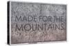 Made for the Mountains - 1894, Colorado State Map in Relief, Colorado, United States Map-null-Stretched Canvas