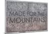 Made for the Mountains - 1894, Colorado State Map in Relief, Colorado, United States Map-null-Mounted Giclee Print