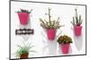 Made in Spain Collection - Pink Pots Wall-Philippe Hugonnard-Mounted Photographic Print