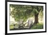 Made In The Shade-Celebrate Life Gallery-Framed Giclee Print