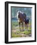 Made in the Shade-Jack Sorenson-Framed Art Print