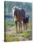 Made in the Shade-Jack Sorenson-Stretched Canvas