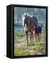 Made in the Shade-Jack Sorenson-Framed Stretched Canvas