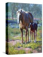 Made in the Shade-Jack Sorenson-Stretched Canvas