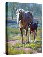 Made in the Shade-Jack Sorenson-Stretched Canvas