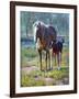 Made in the Shade-Jack Sorenson-Framed Art Print