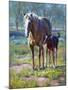 Made in the Shade-Jack Sorenson-Mounted Art Print