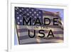 Made In The USA American Flag Motivational-null-Framed Photo