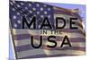 Made In The USA American Flag Motivational-null-Mounted Photo