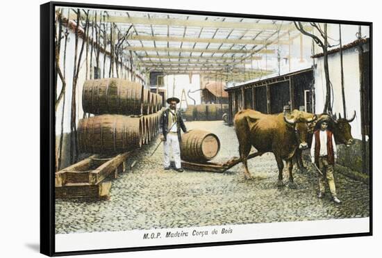 Madeira Barrels - Madeira, Portugal-null-Framed Stretched Canvas