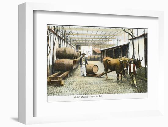 Madeira Barrels - Madeira, Portugal-null-Framed Photographic Print