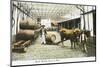 Madeira Barrels - Madeira, Portugal-null-Mounted Photographic Print