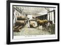 Gramercy Black
