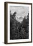 Madeira, Portugal, 1895-Taylor-Framed Giclee Print