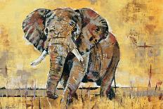 Safari Elephant-Madelaine Morris-Art Print