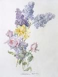 A Study of Heather, Cornflower, and Blossom-Madeleine Lemaire-Giclee Print