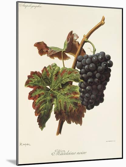 Madeleine Noire Grape-A. Kreyder-Mounted Giclee Print