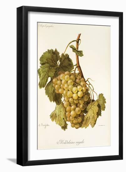 Madeleine Royale Grape-A. Kreyder-Framed Giclee Print