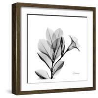 Madelia in Black and White-Albert Koetsier-Framed Art Print