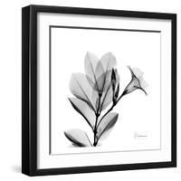 Madelia in Black and White-Albert Koetsier-Framed Art Print