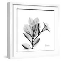 Madelia in Black and White-Albert Koetsier-Framed Art Print