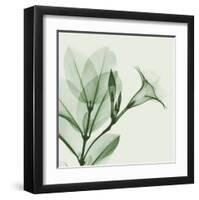 Madelia in Green-Albert Koetsier-Framed Art Print