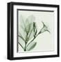 Madelia in Green-Albert Koetsier-Framed Art Print