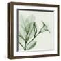 Madelia in Green-Albert Koetsier-Framed Art Print