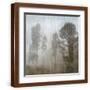 Brown Frame