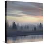 Stretched Canvas