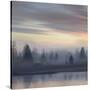 Stretched Canvas