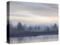 Stretched Canvas