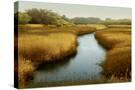 Stretched Canvas
