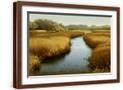 Brown Frame