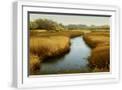 White Frame